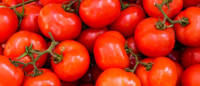 tomato imports