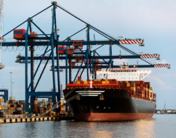 Weekly Logistics News Headlines: Blank Sailings, Tariff Questions