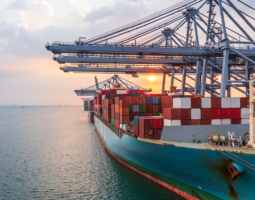 International Thursday: Trans-Pacific Freight Rates Decline as Peak Season Looms